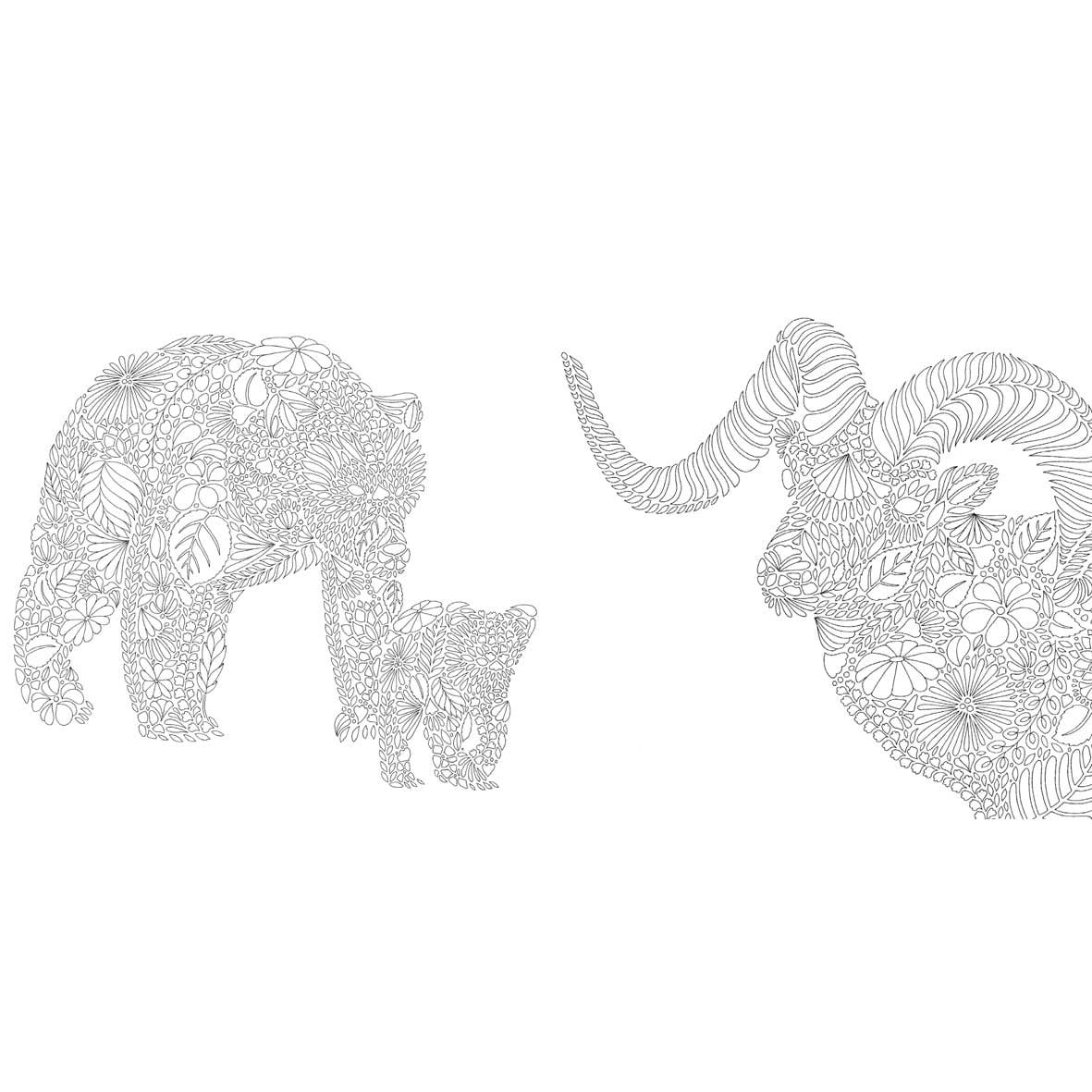 Millie Marotta's Animal Kingdom: Mini Edition Coloring Book