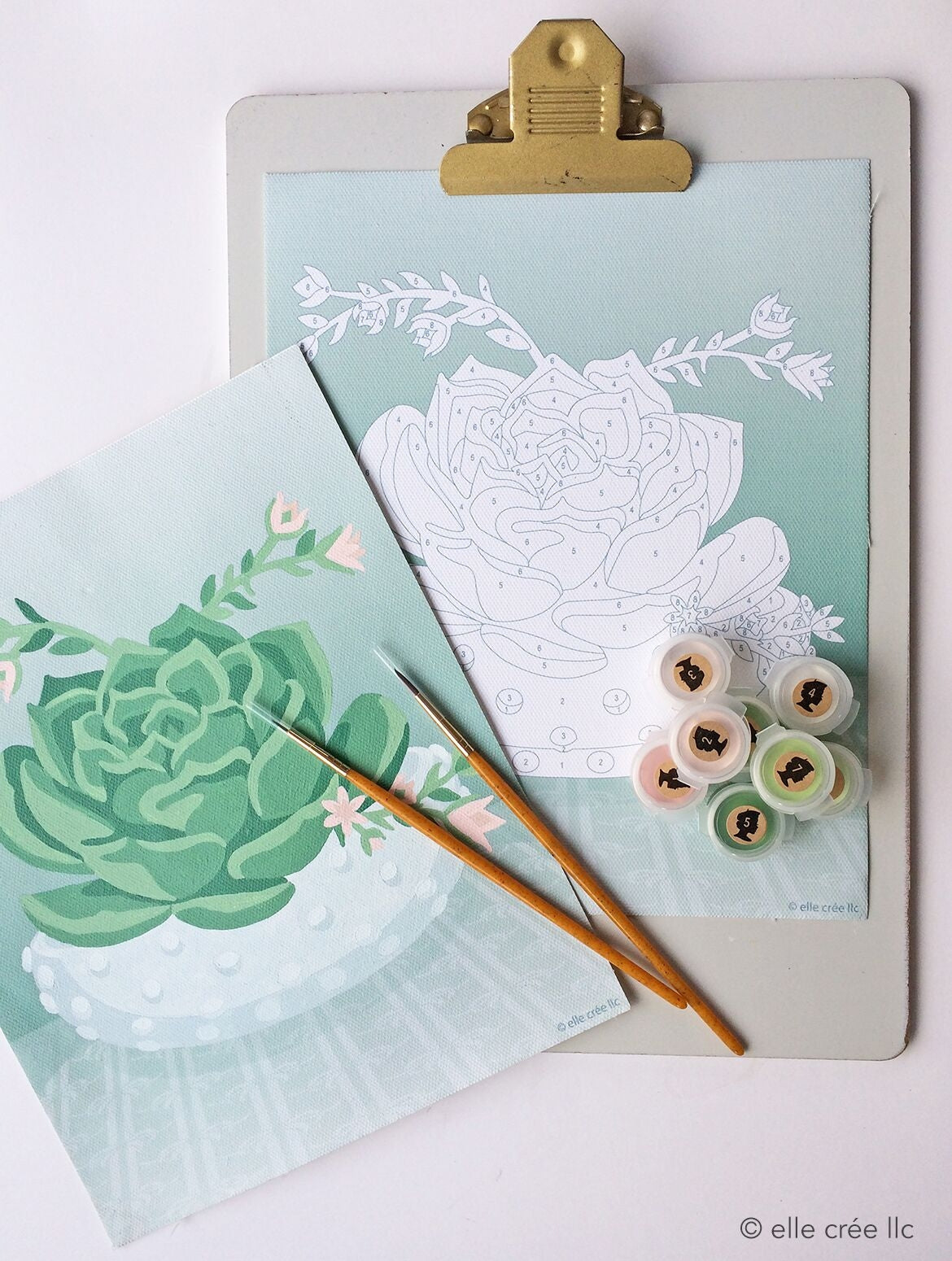 Blooming Succulent in Hobnail Bowl Paint-By-Number Kit