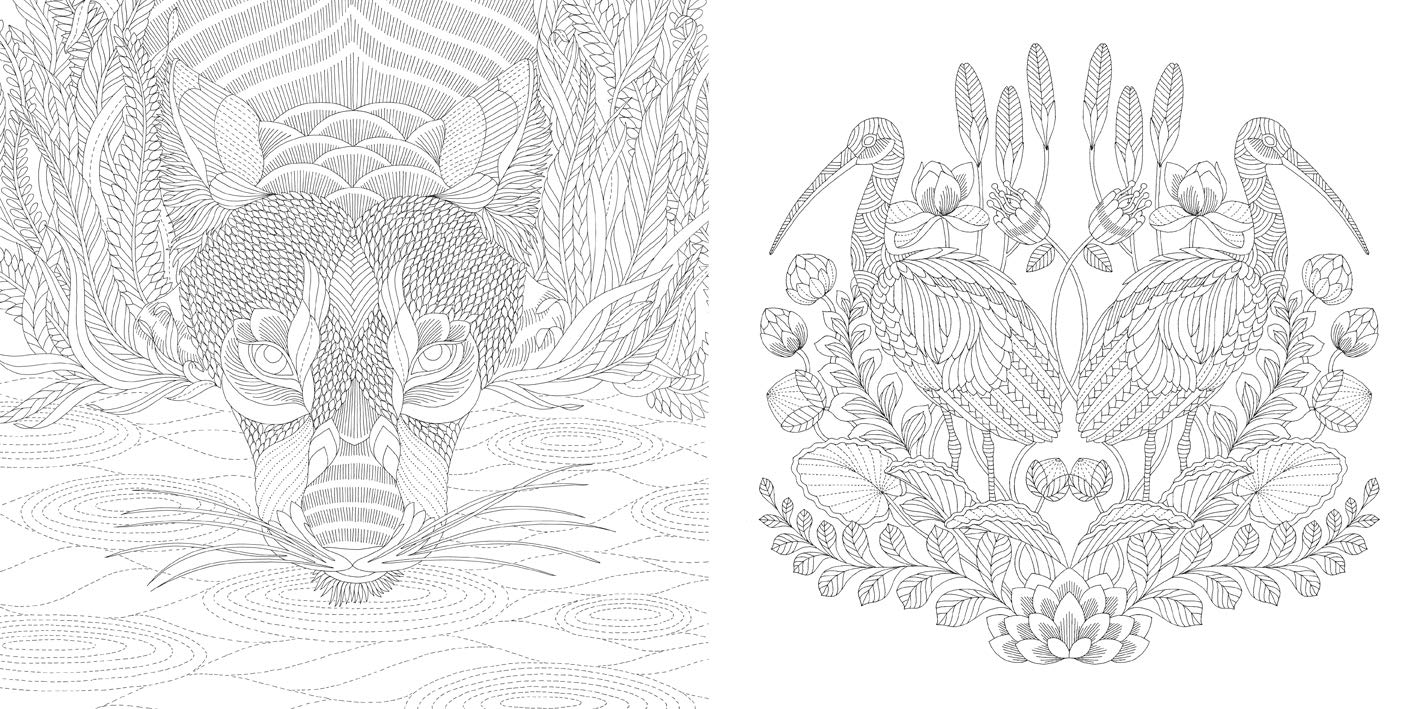 Millie Marotta's Wildlife Wonders Coloring Book