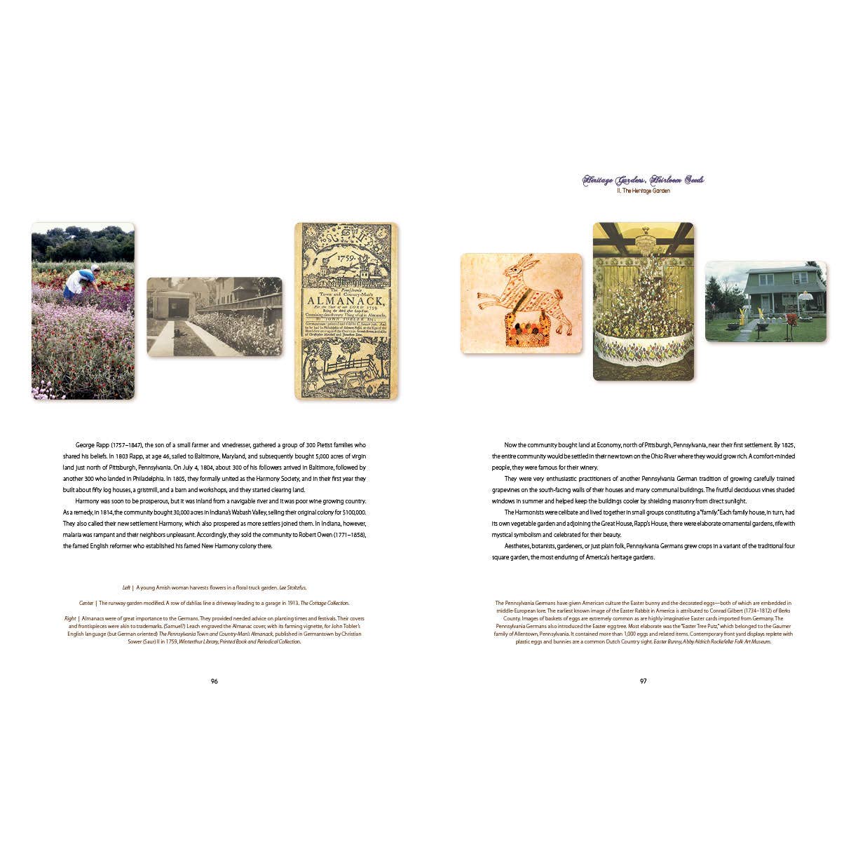 Heritage Gardens, Heirloom Seeds