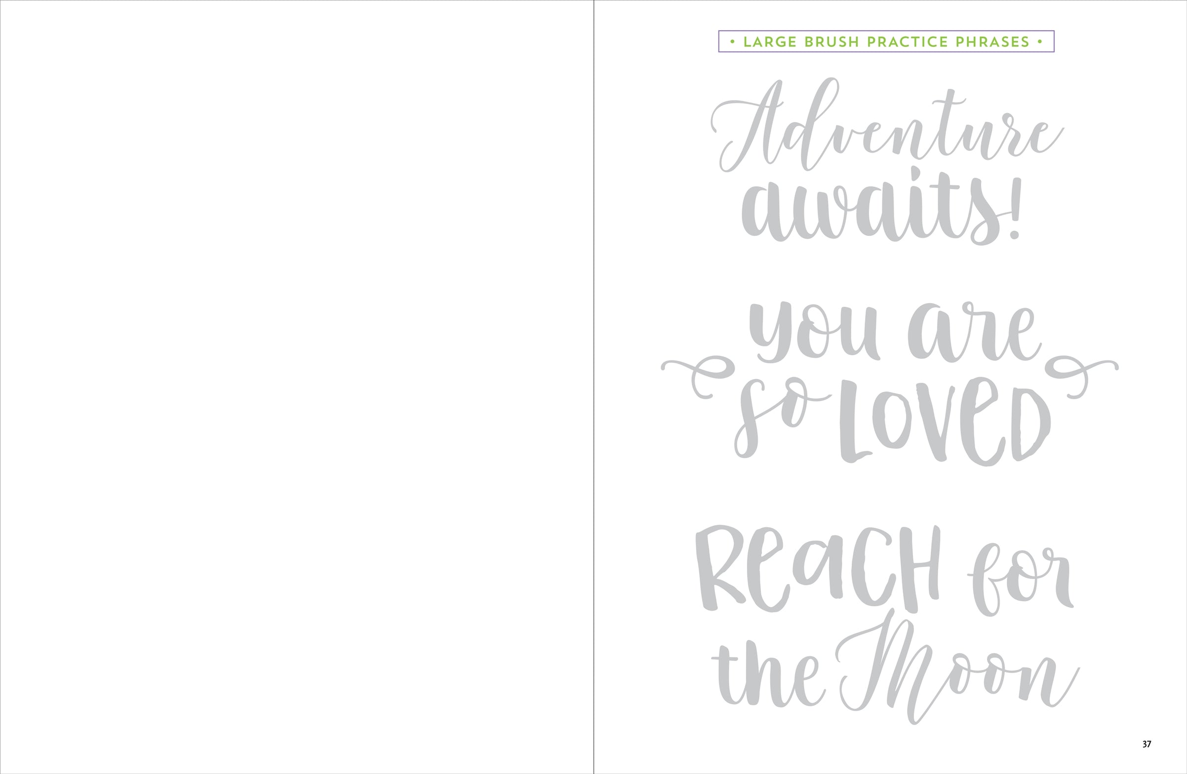 Brush Lettering Beginner Workbook