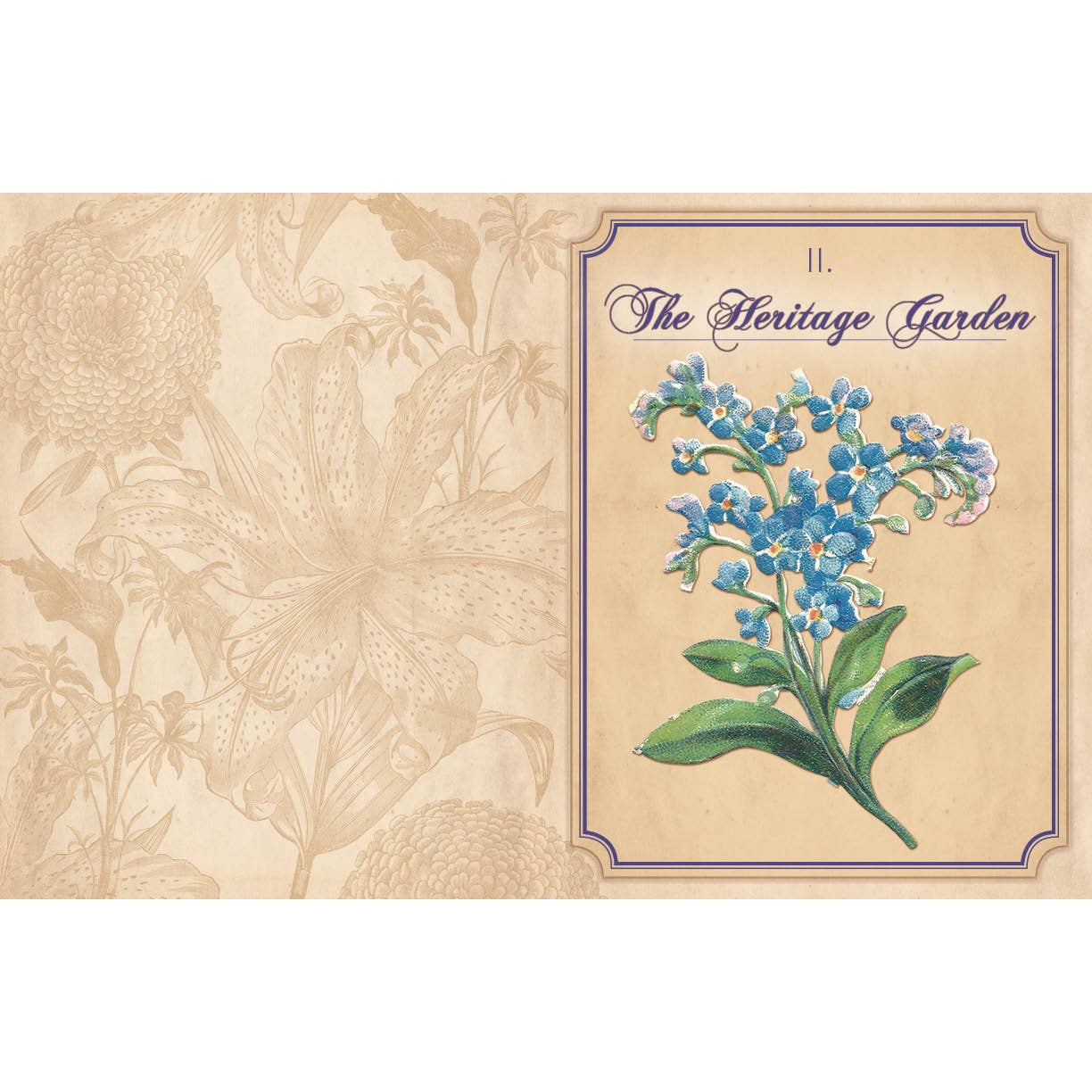 Heritage Gardens, Heirloom Seeds