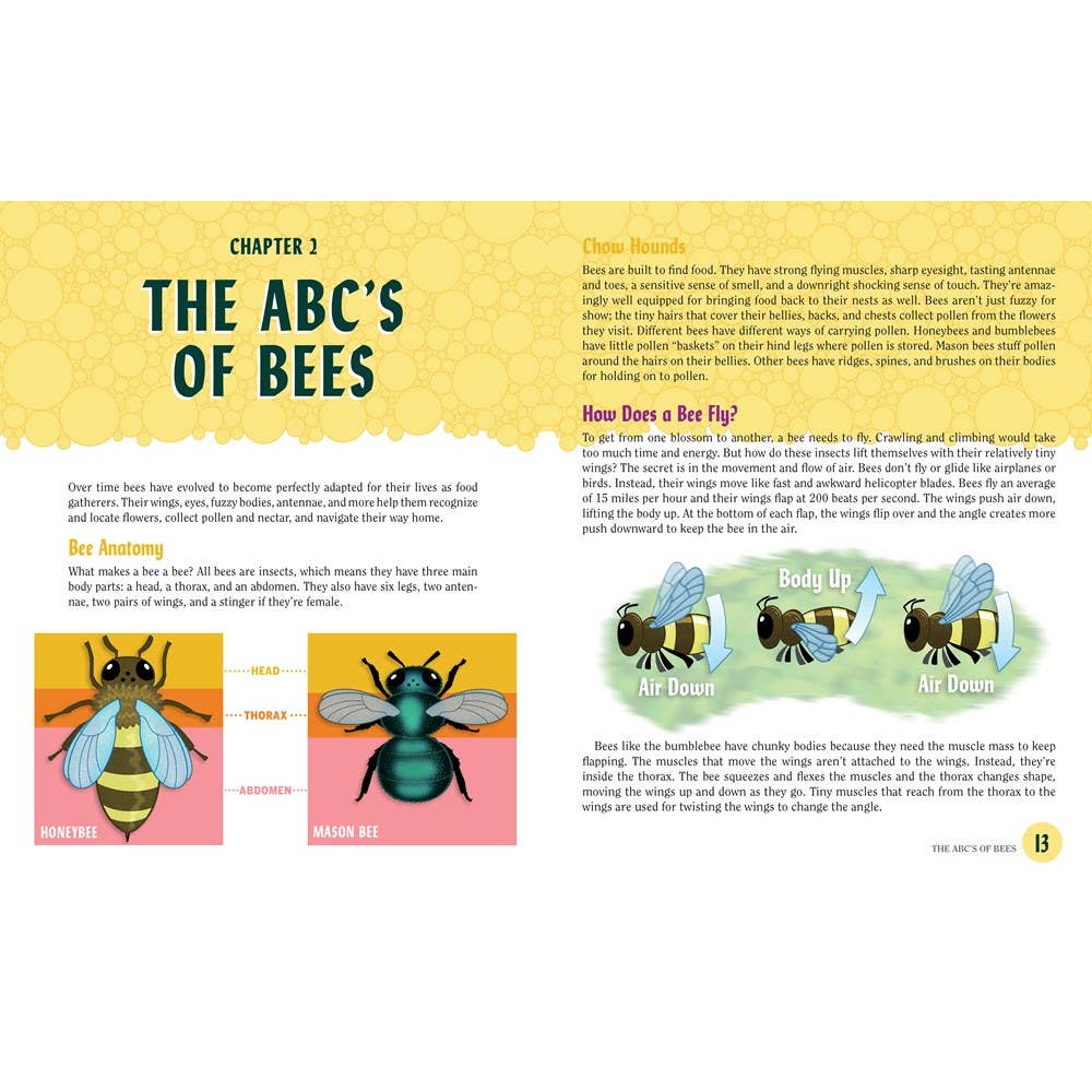 Turn This Book Into a Beehive!