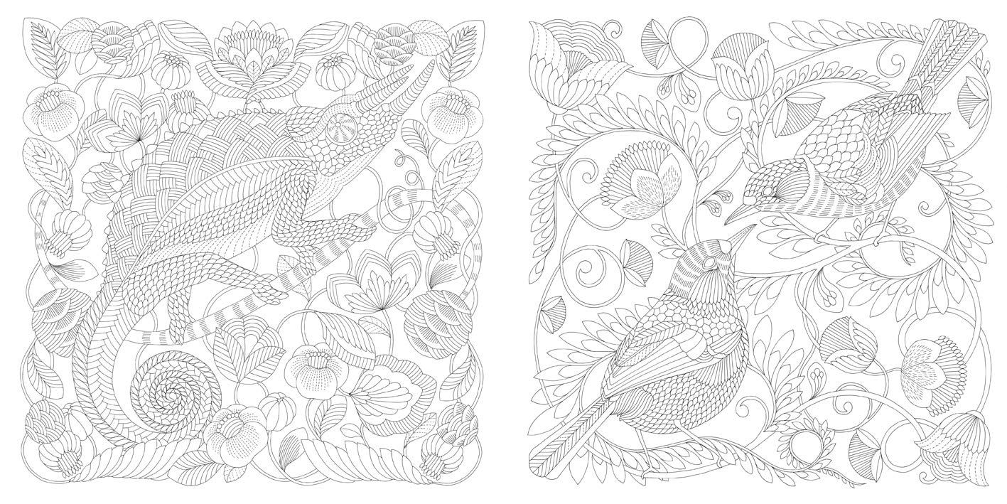 Millie Marotta's Wildlife Wonders Coloring Book