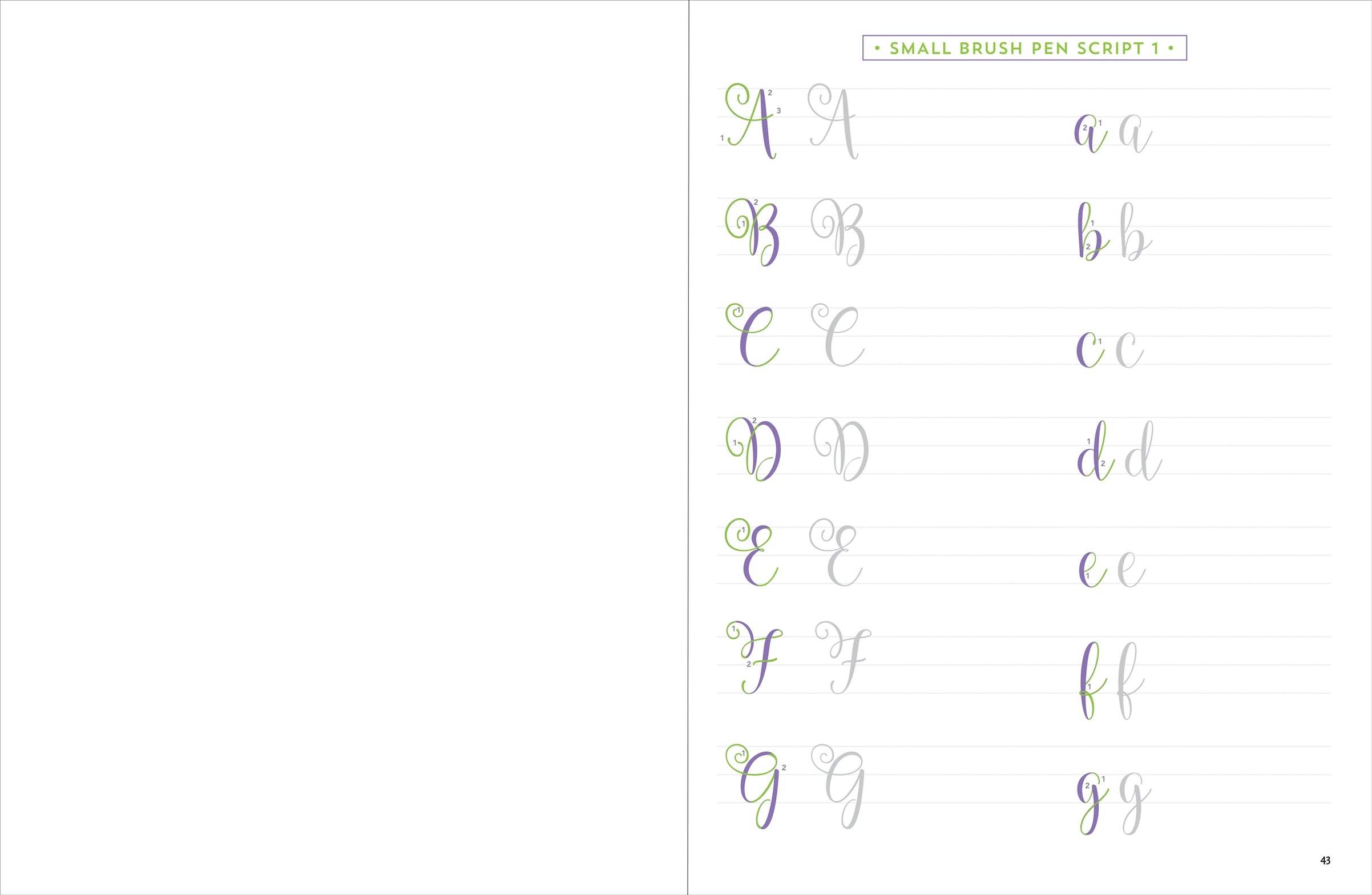 Brush Lettering Beginner Workbook