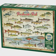 40181 Freshwater Fish of North America 1000pc Puzzle