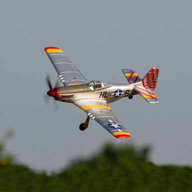 P-51D BL 500mm RFT (Rage) Warbird