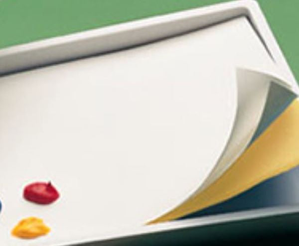 MSN-9121 Painter's Pal Acrylic Paper Refill for #912 (30 Sheets)