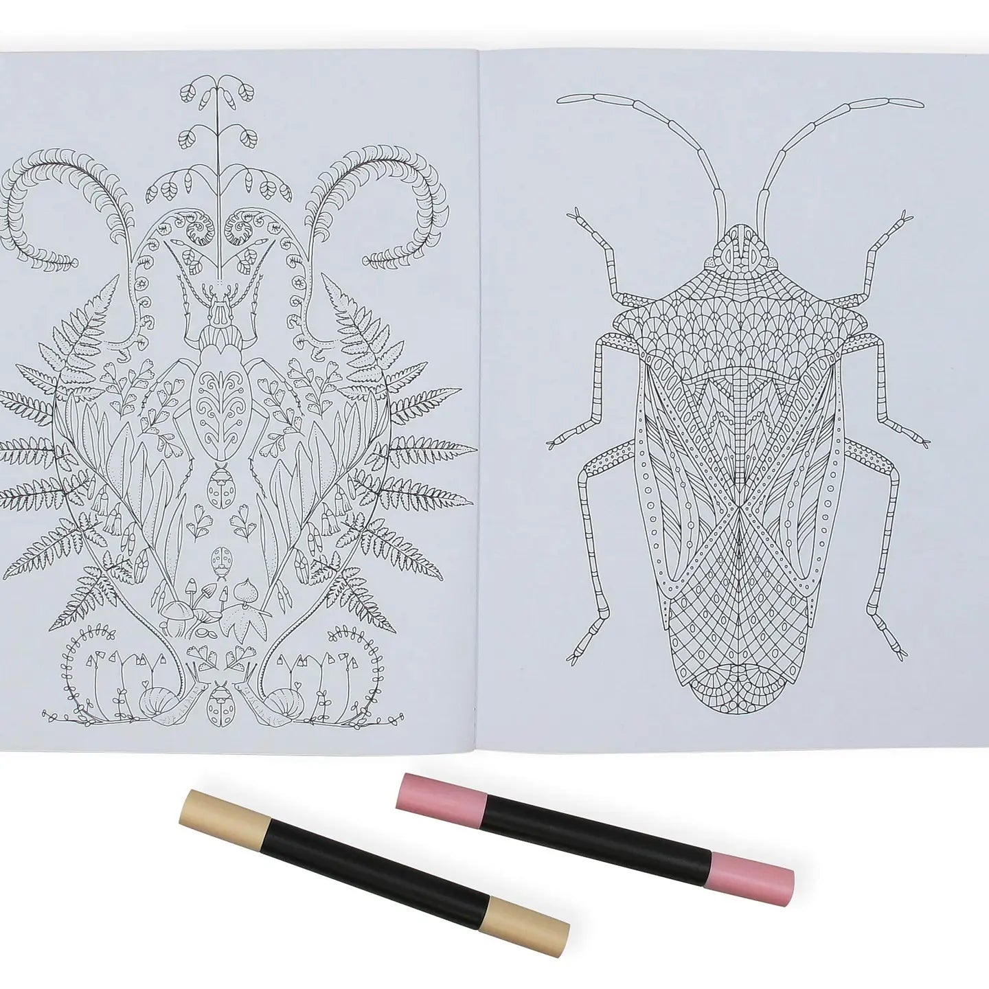 Wonderful Insects Coloring Book
