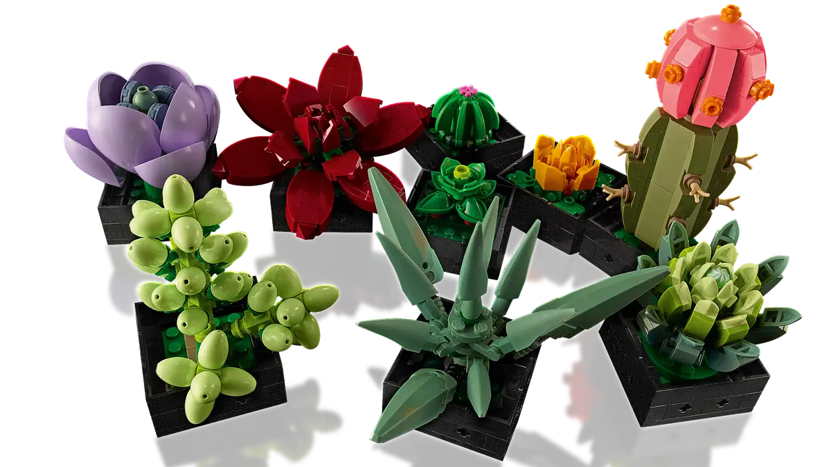 10309 Succulents
