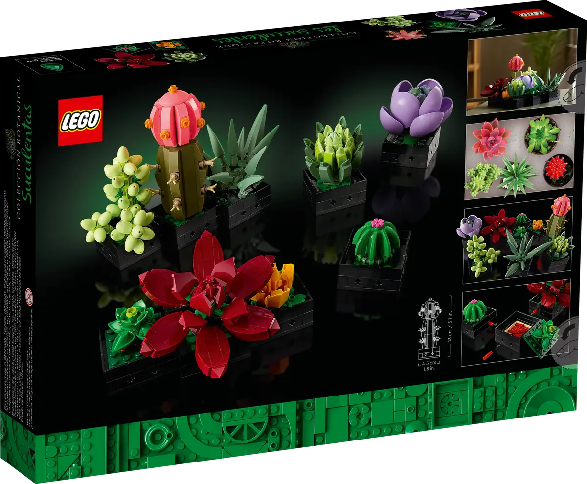 10309 Succulents