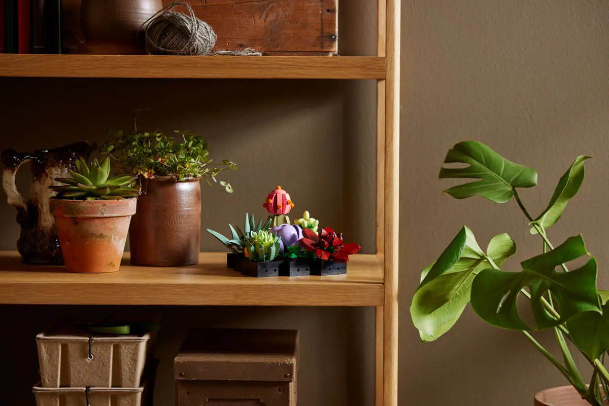 10309 Succulents