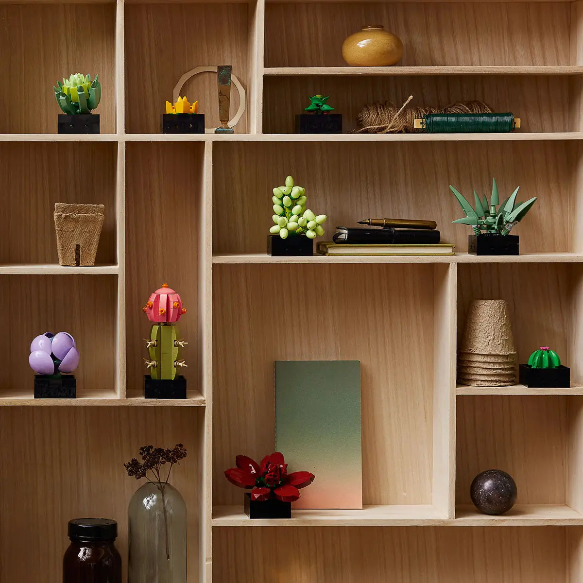 10309 Succulents