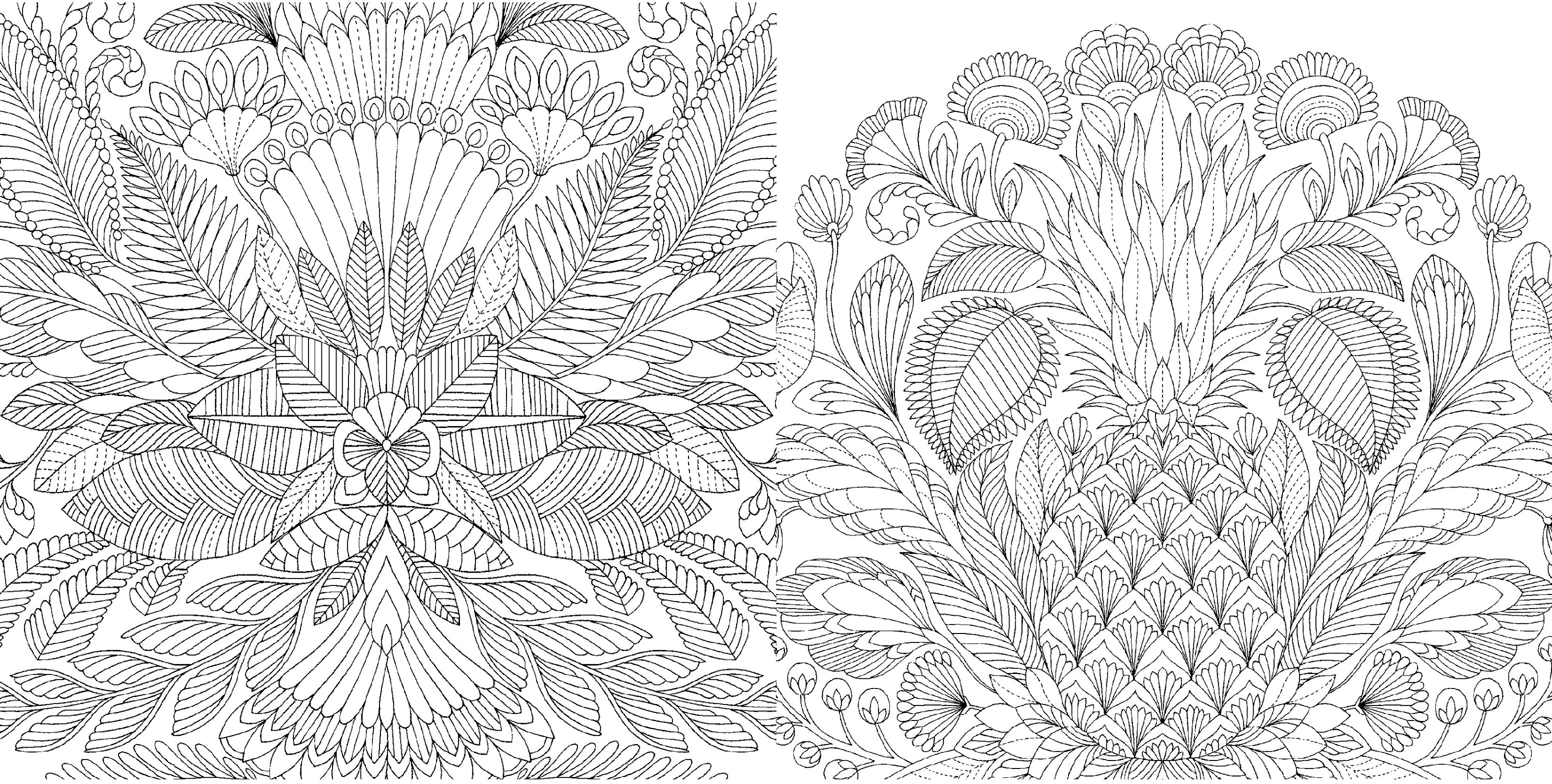 Millie Marotta's Tropical World: Mini Coloring Book