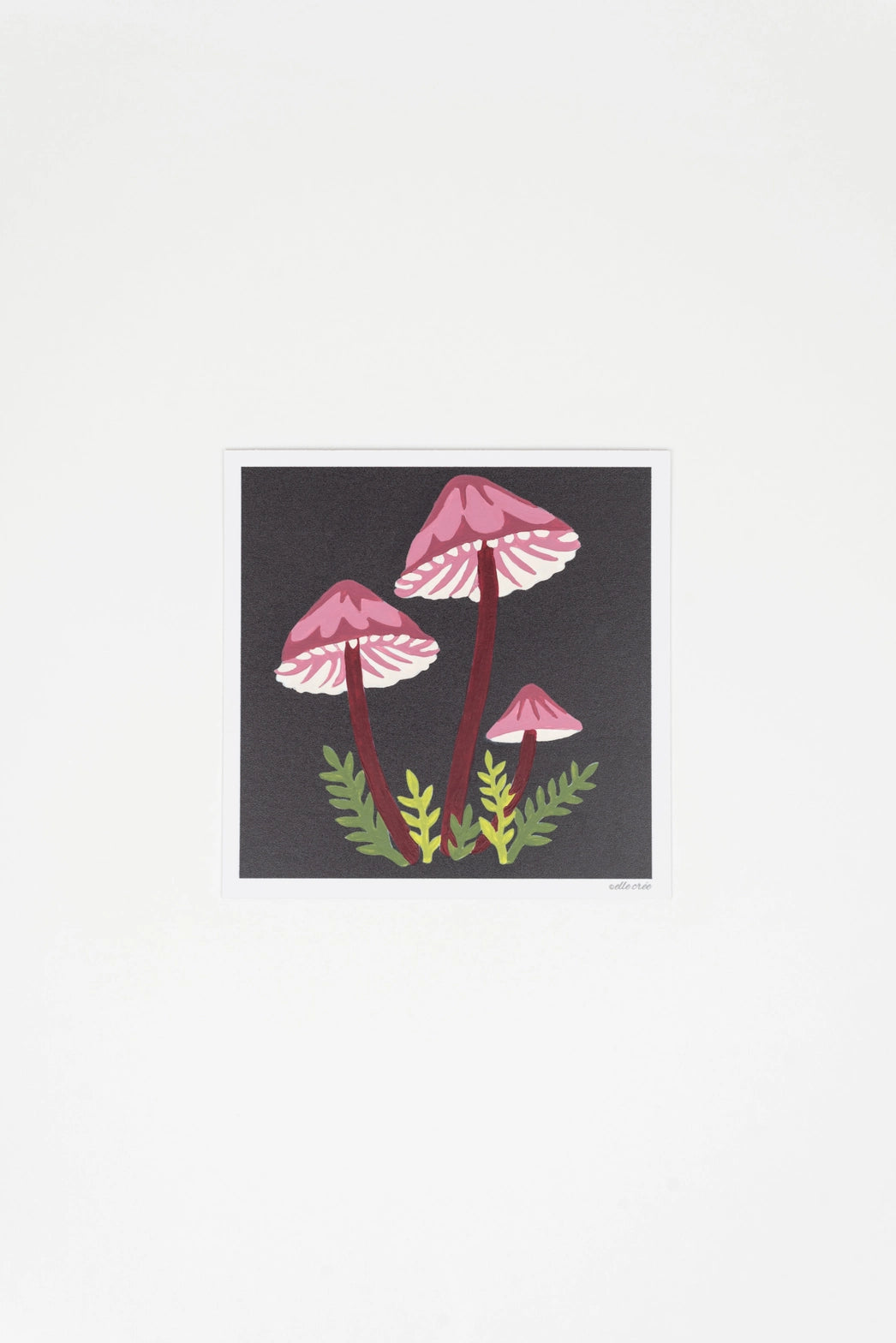 Bleeding Fairy Helmet Mushrooms MINI Paint-by-Number Kit