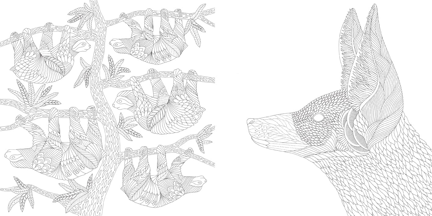 Millie Marotta's Brilliant Beasts Coloring Book