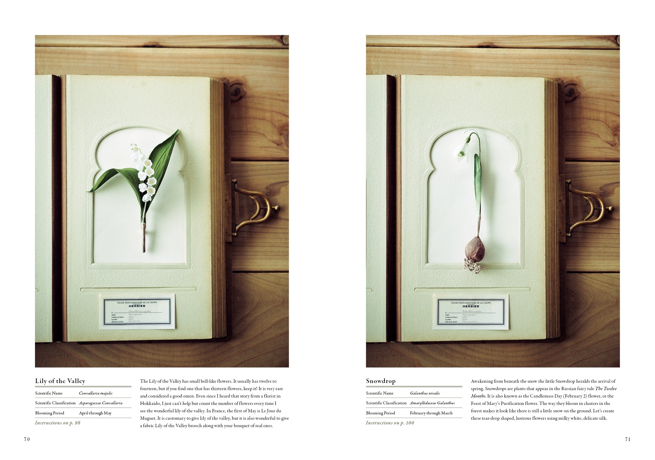 The Herbarium of Fabric Flowers