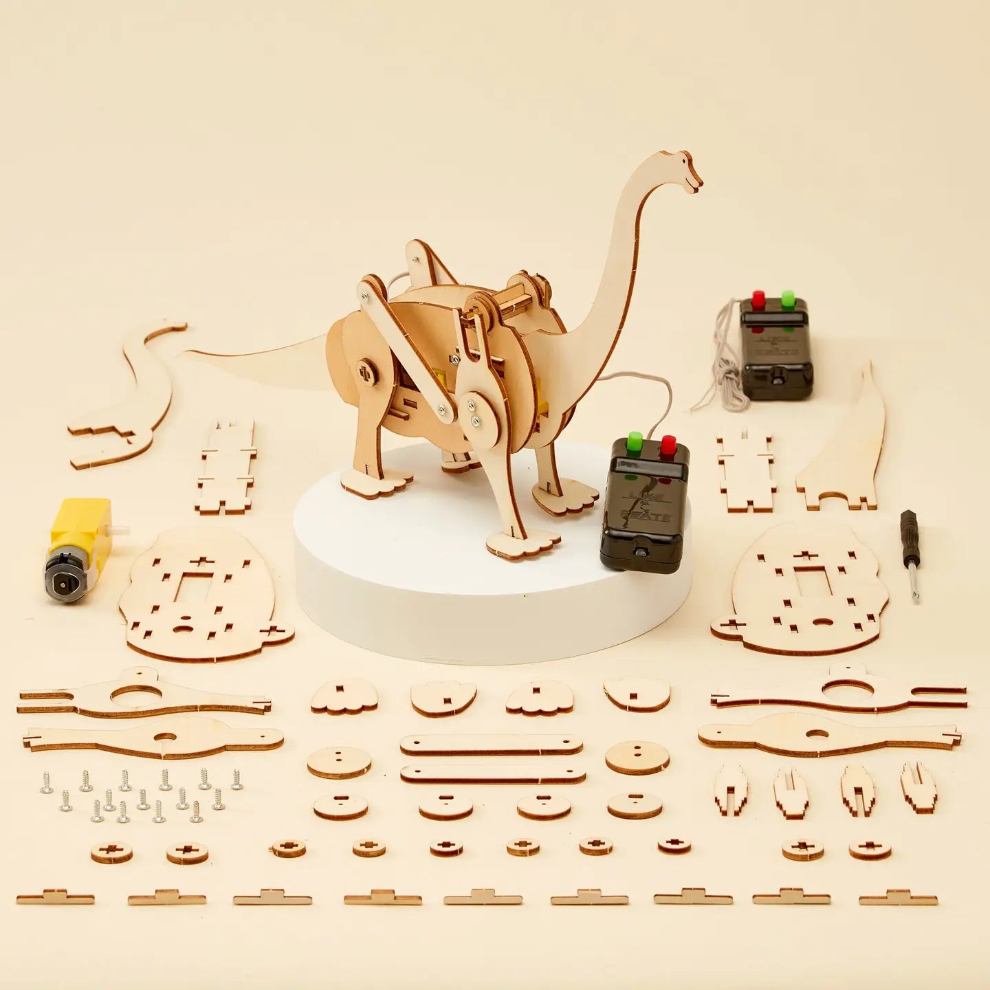 Summer Workshop- Dinosaur Robot (Ages 5 to 9) ADVANCE REGISTRATION REQUIRED