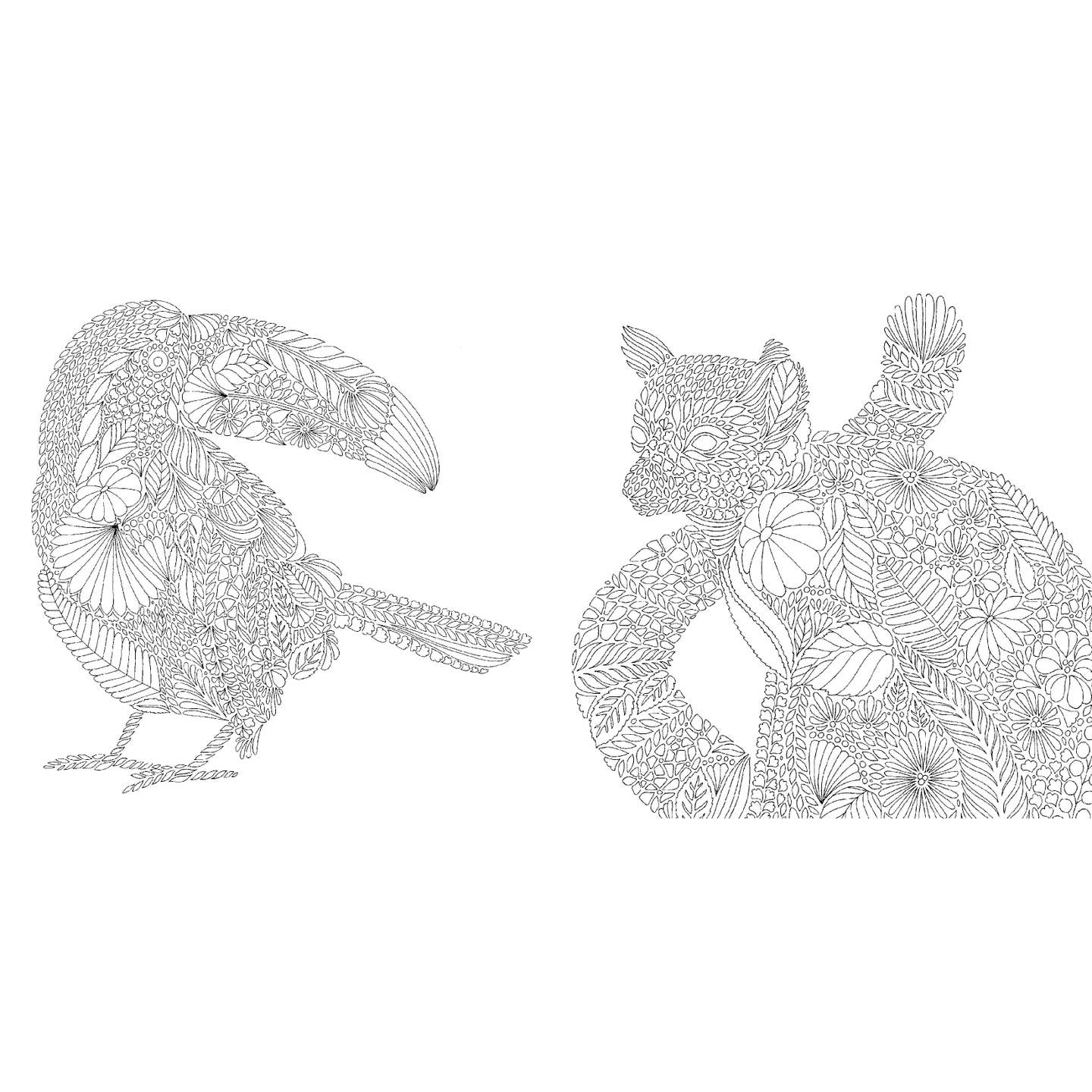 Millie Marotta's Tropical World: Mini Coloring Book