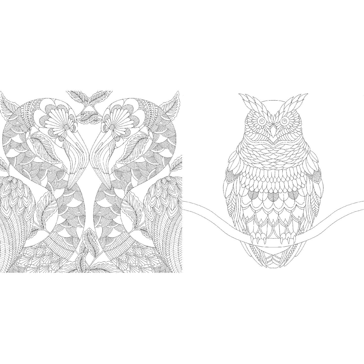 Millie Marotta's Tropical World: Mini Coloring Book