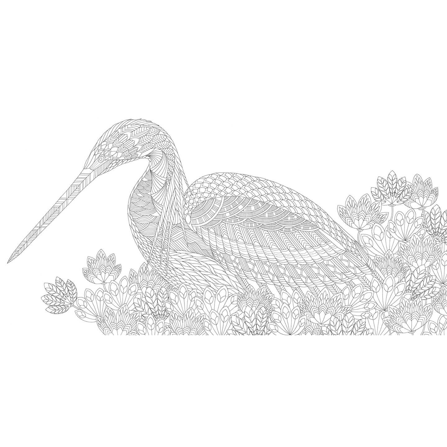 Millie Marotta Beautiful Birds and Treetops Coloring Book