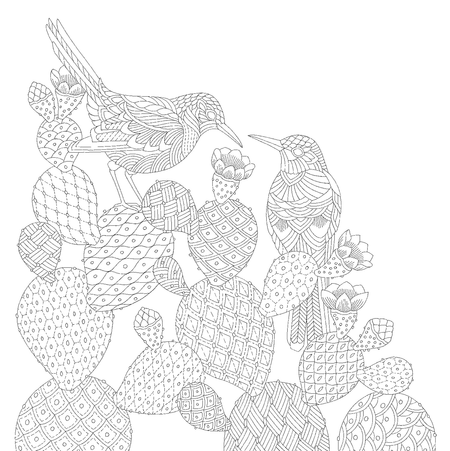 Millie Marotta's Animal Adventures Coloring Book