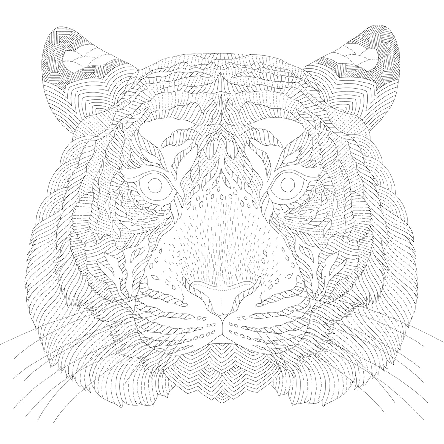 Millie Marotta's Animal Adventures Coloring Book