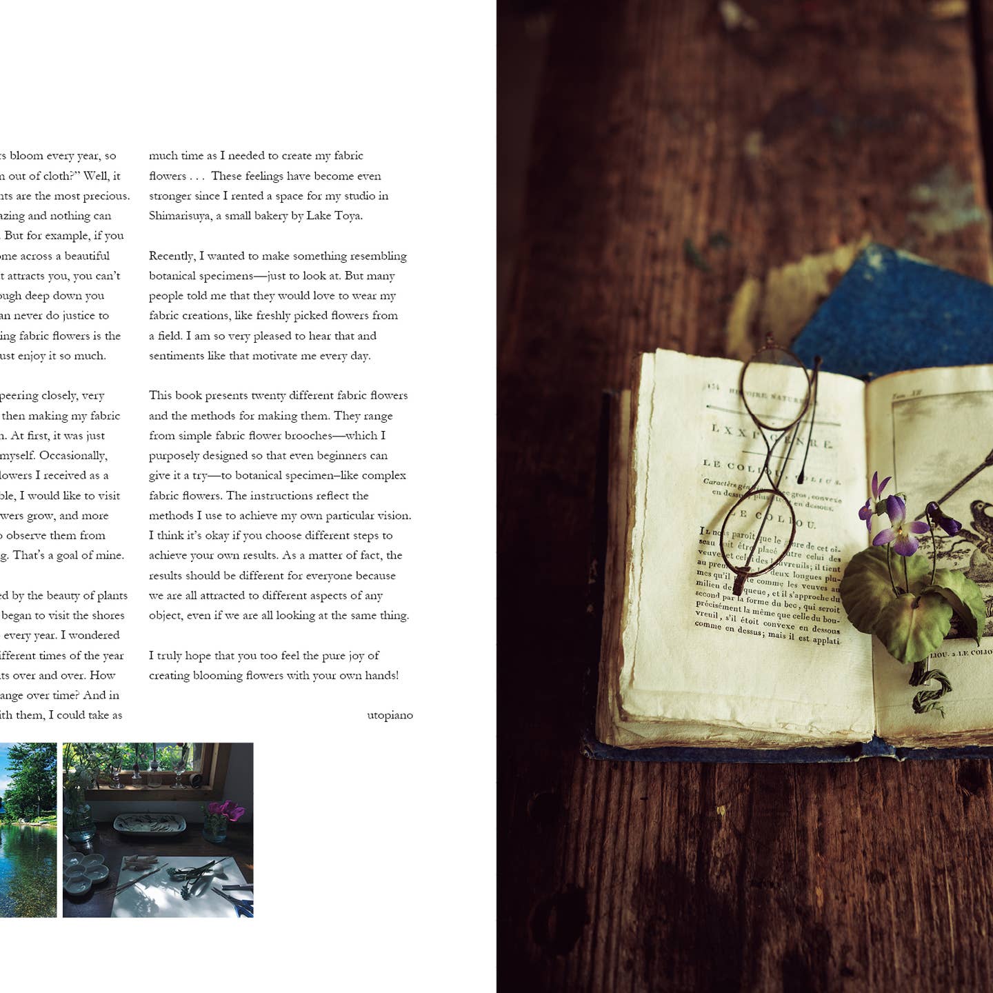 The Herbarium of Fabric Flowers