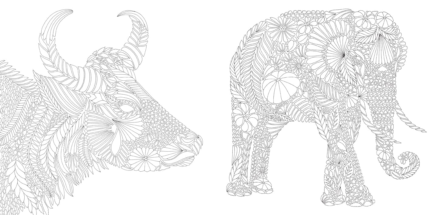 Millie Marotta's Brilliant Beasts Coloring Book