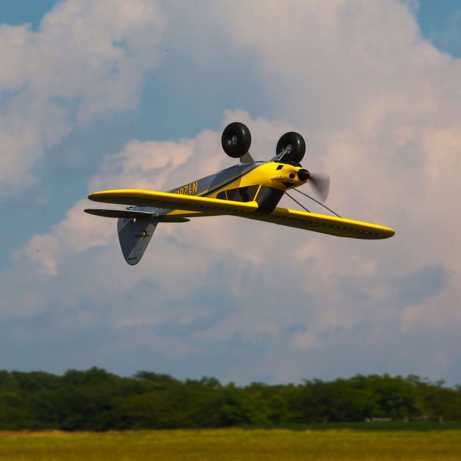 HBZ320001	Carbon Cub S 2 1.3m RTF Basic
