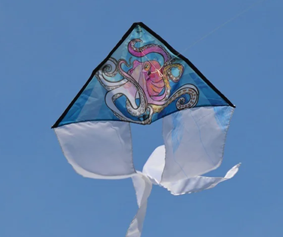 Summer Workshop- Kite Coloring (Ages 5 to 9) ADVANCE REGISTRATION REQUIRED