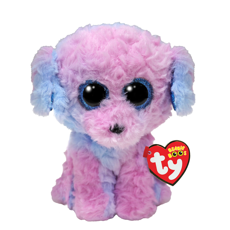 37389 FLORA - poodle multi reg