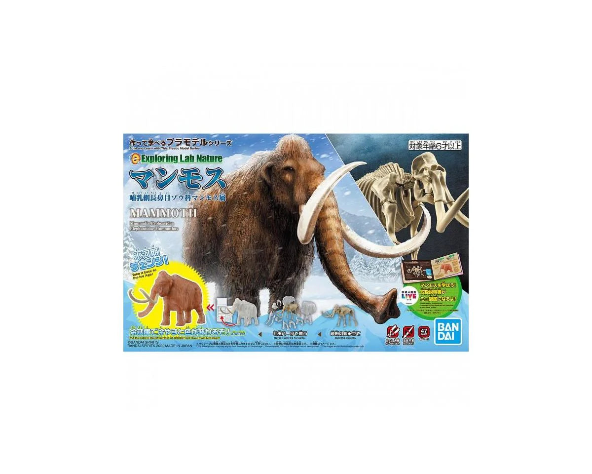 BAS2569522 EXPLORING NATURE MAMMOTH