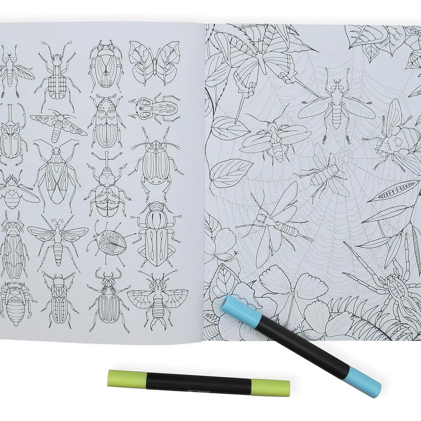 Wonderful Insects Coloring Book