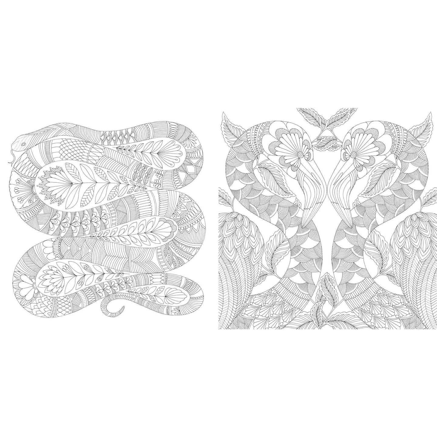 Millie Marotta Tropical World Coloring Book