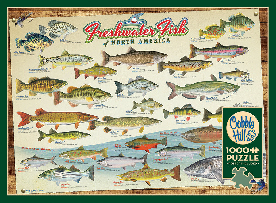 Freshwater Fish of North America puzzle (1000 pc)