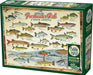 Freshwater Fish of North America puzzle (1000 pc)