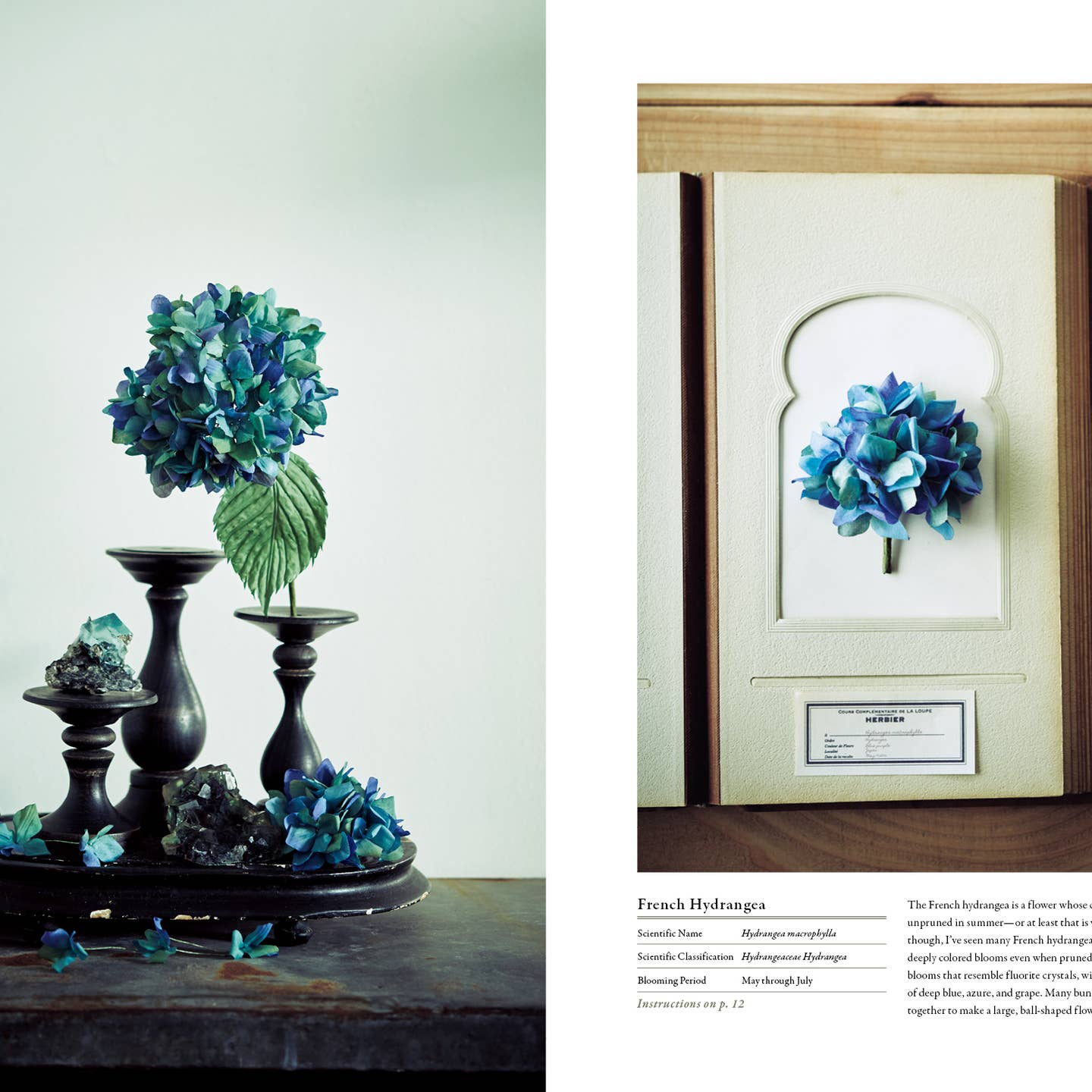 The Herbarium of Fabric Flowers