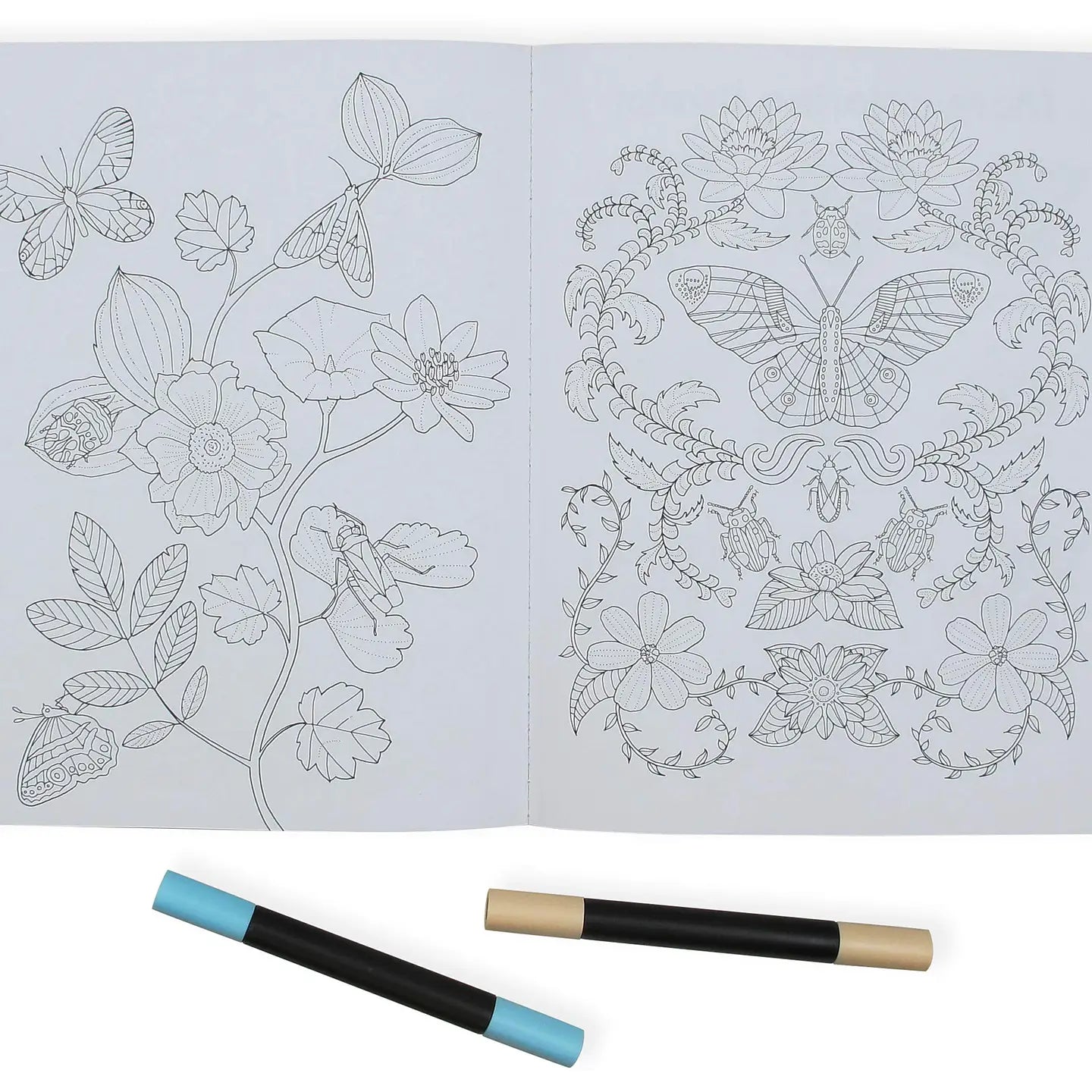Wonderful Insects Coloring Book