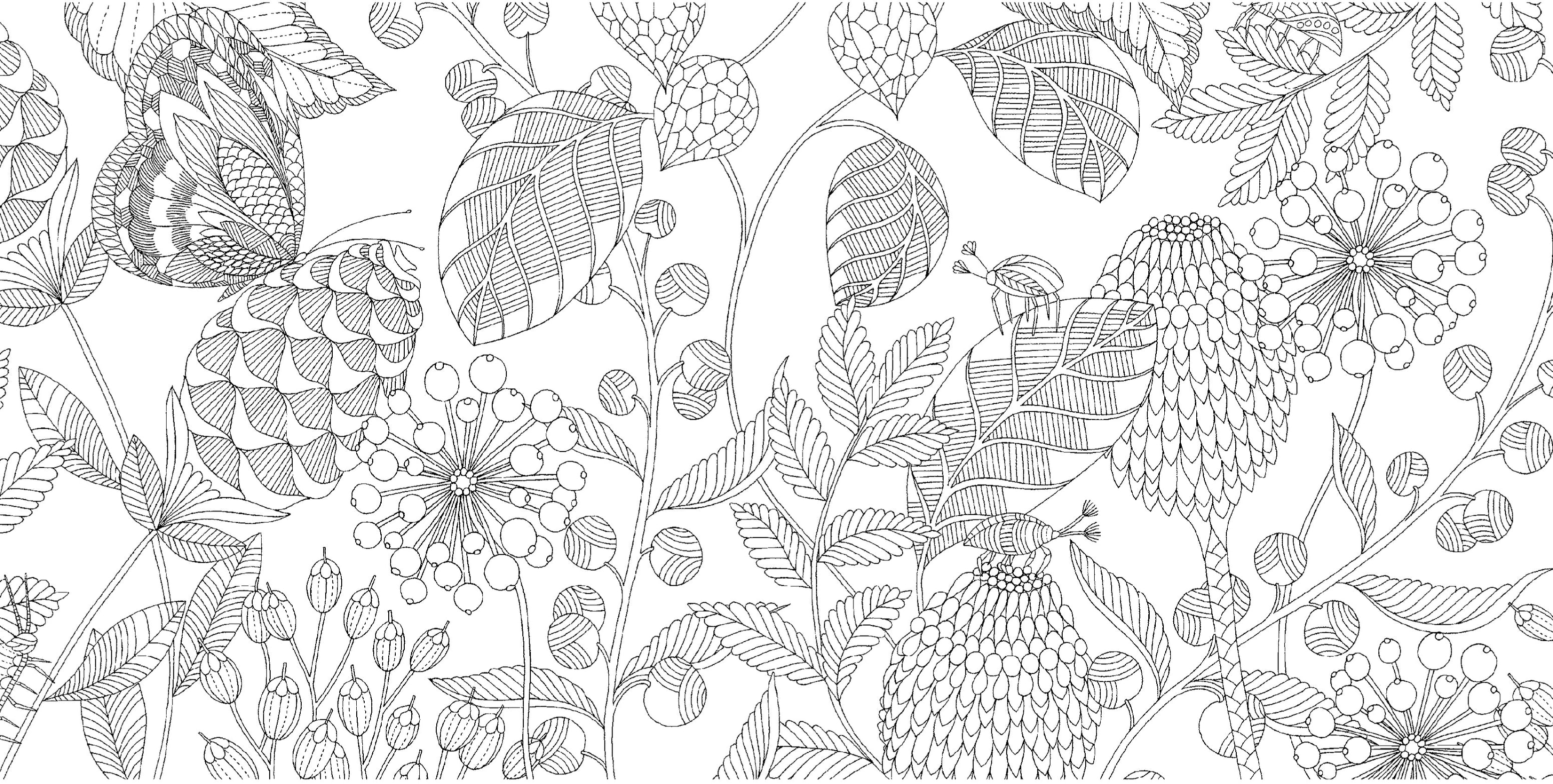 Millie Marotta's Tropical World: Mini Coloring Book