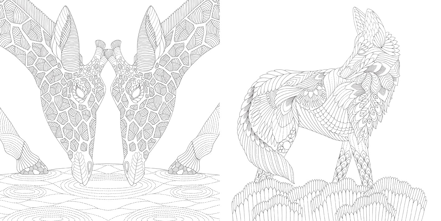 Millie Marotta's Brilliant Beasts Coloring Book