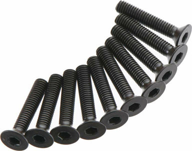 Flat Head Screw 3x16mm (10)