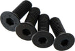 Flat Head Screw 4x12mm (4)