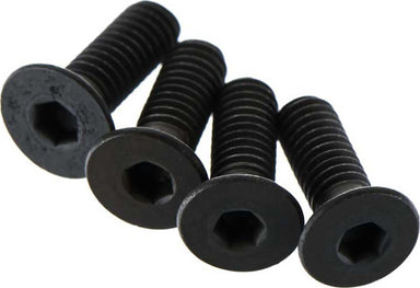 Flat Head Screw 4x12mm (4)