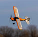 XCub 450mm RTF RC airplane with SAFE