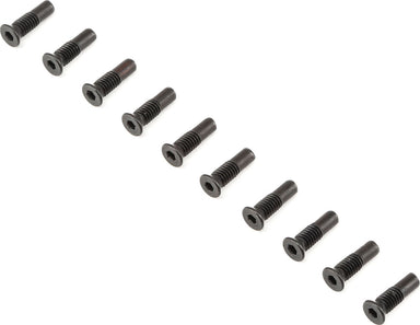 Hinge Pin Screw FR (10) Rock Rey