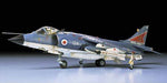 1/48 Hawker Sea Harrier