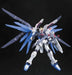 #5 Freedom Gundam "Gundam SEED", Bandai RG