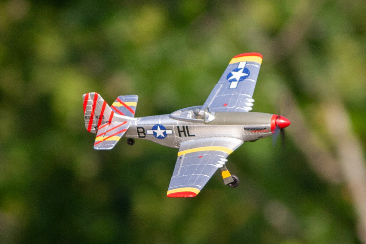 P-51D BL 500mm RFT (Rage) Warbird