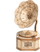 Classic 3D Wood Puzzles; Gramophone